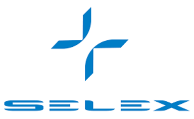 SeleX Motors