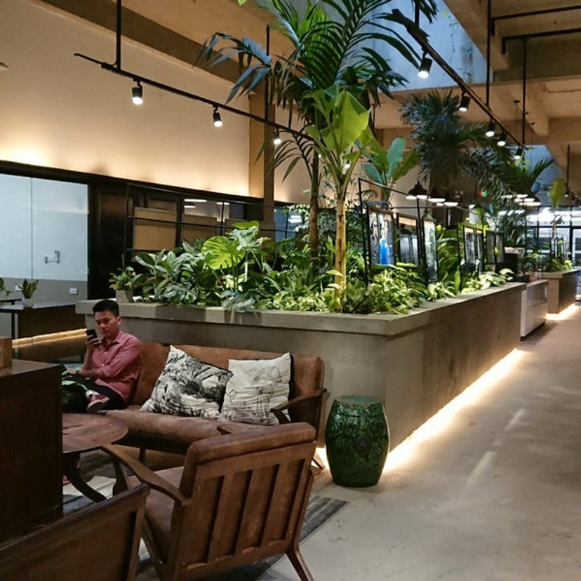 Descartes Network-Image-2.jpeg