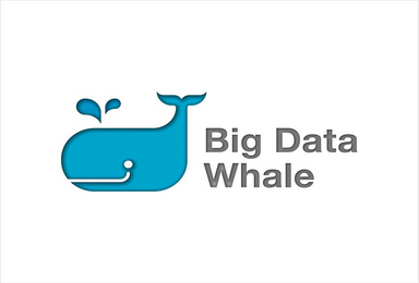 Big Whale Data