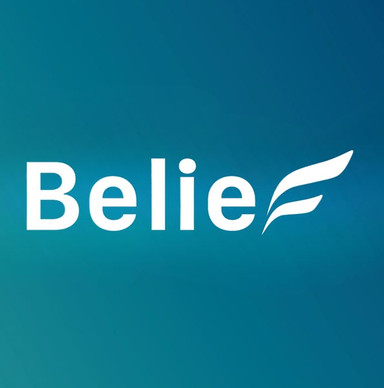 Tập Đoàn Belief Holdings