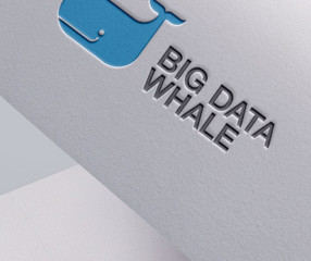 Big Whale Data