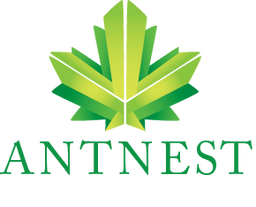 company-image-123123