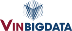 VinBigdata
