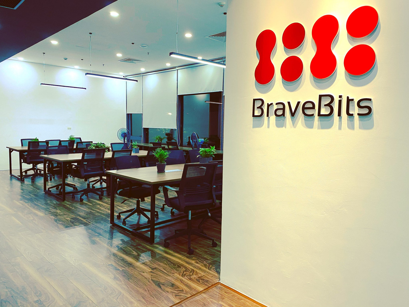 BraveBits