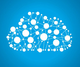 company-image-123123