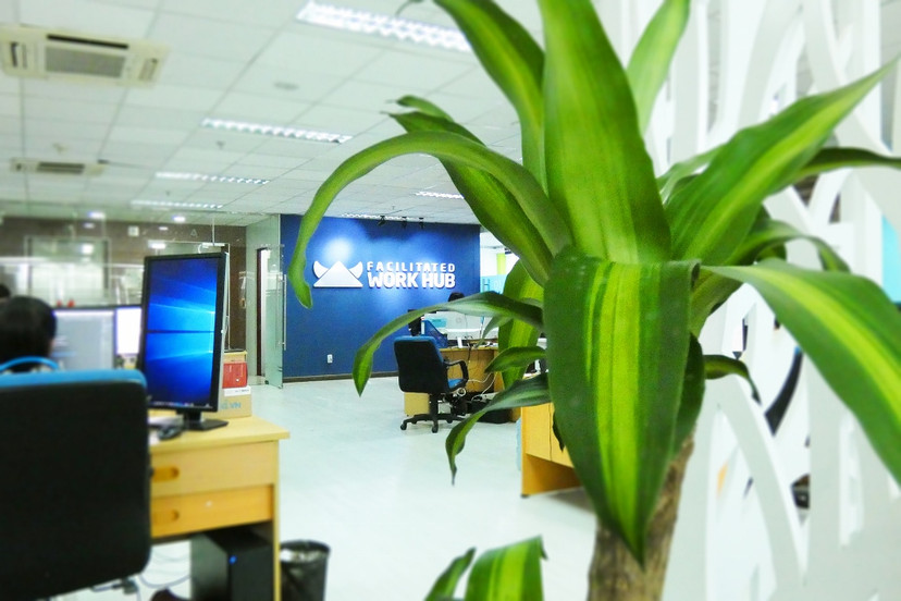 greenoffice (1024x683).jpg