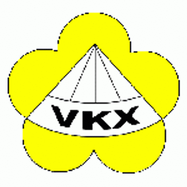 Công ty TNHH VKX