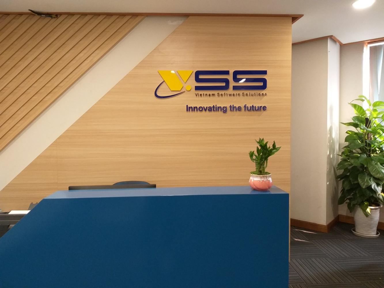 cong-ty-tnhh-giai-phap-phan-mem-viet-vss-3