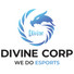 Công ty cổ phần Divine Corp