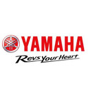 company-image-123123