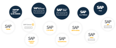 SAP Business Solutions