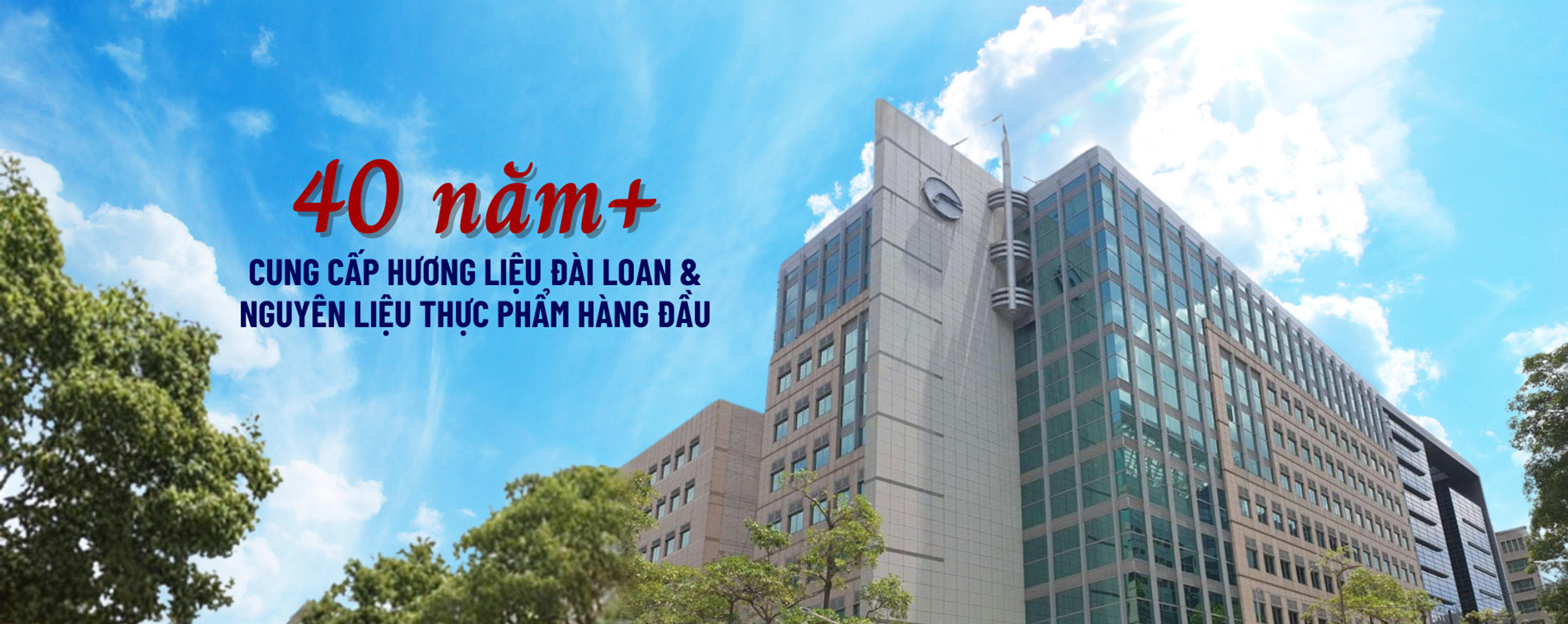 cong-ty-tnhh-lseatex