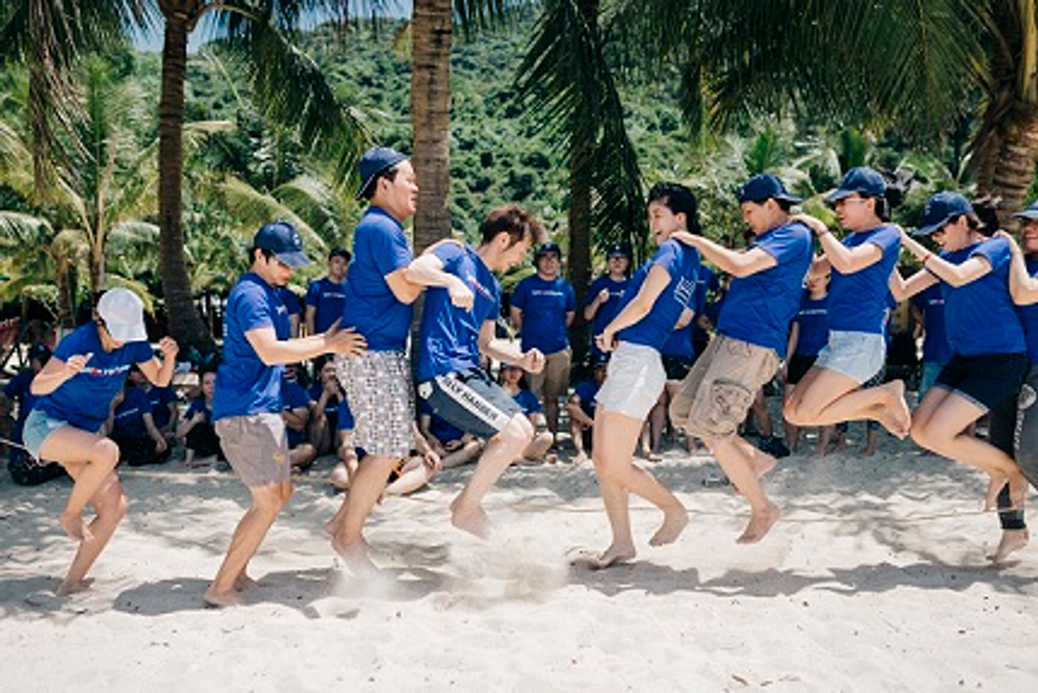 cong-ty-tnhh-mot-thanh-vien-vision-viet-nam