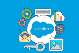 Develop new EC system using Saleforce