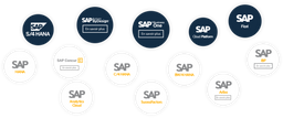 SAP Business Solutions