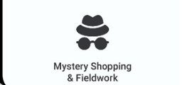 Mystery Shopping & Fieldwork