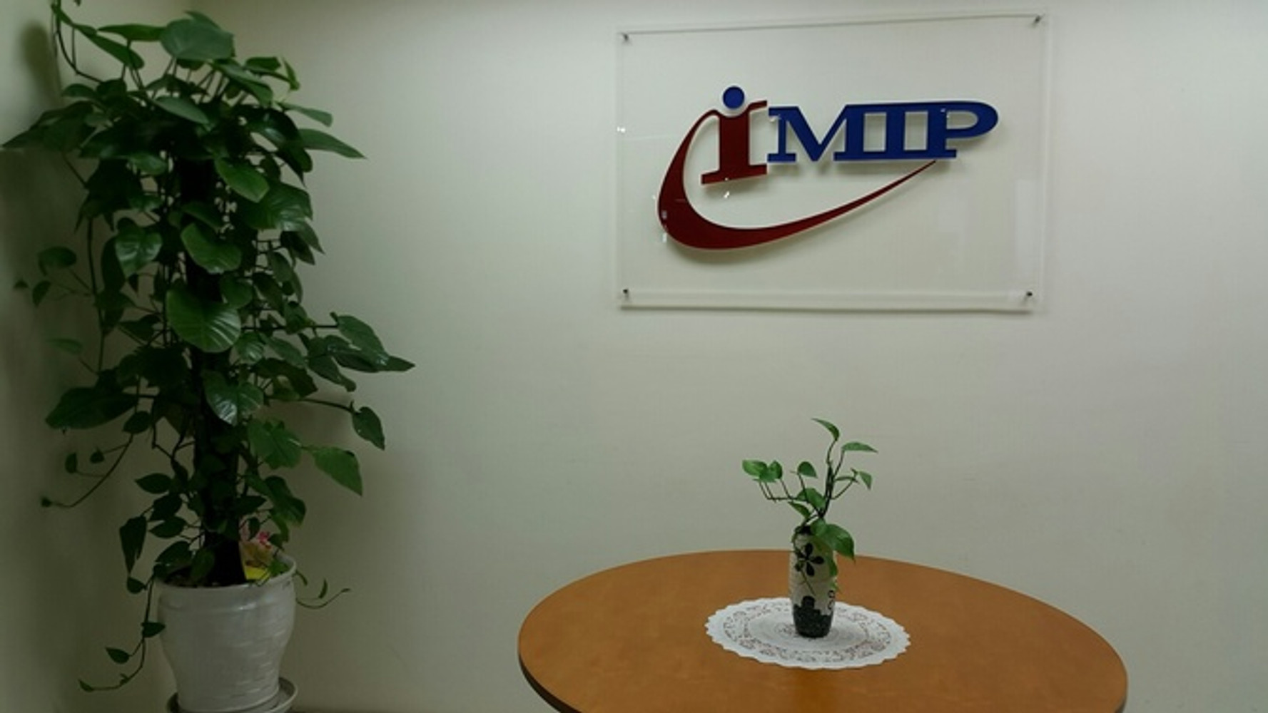 IMIP Technology And Solution Consultancy 