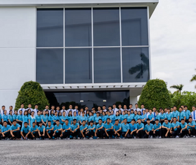 Mylan Group