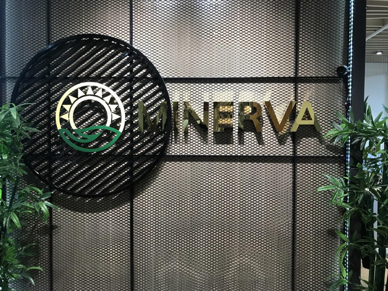 minerva-technology-solutions-jsc