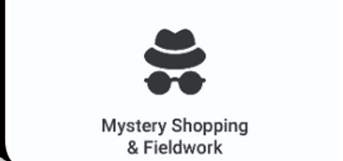 Mystery Shopping & Fieldwork