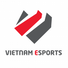 Vietnam Esports Development JSC