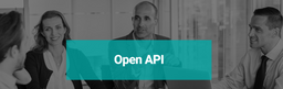 Open API