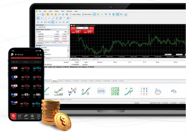 Forex Trading Platform
