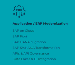 Application / ERP Modernization