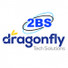 2BS & Dragonfly Tech Solutions