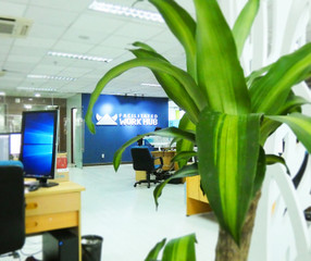 Noria in Partnership with Facilitated Work Hub