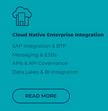 Cloud Native Enterprise Integration
