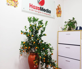 Hazo Media