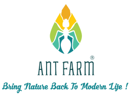 company-image-123123