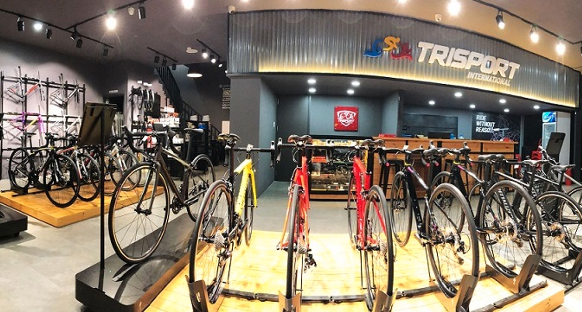 cong-ty-tnhh-trisport-international