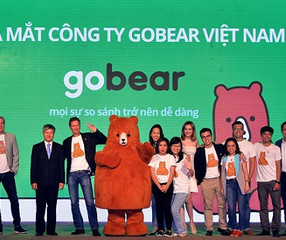gobear