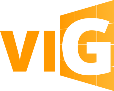 CÔNG TY CỔ PHẦN GIẢI PHÁP VÀ CÔNG NGHỆ VIG