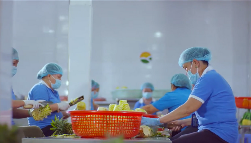 Screenshot 2022-11-07 084729.png