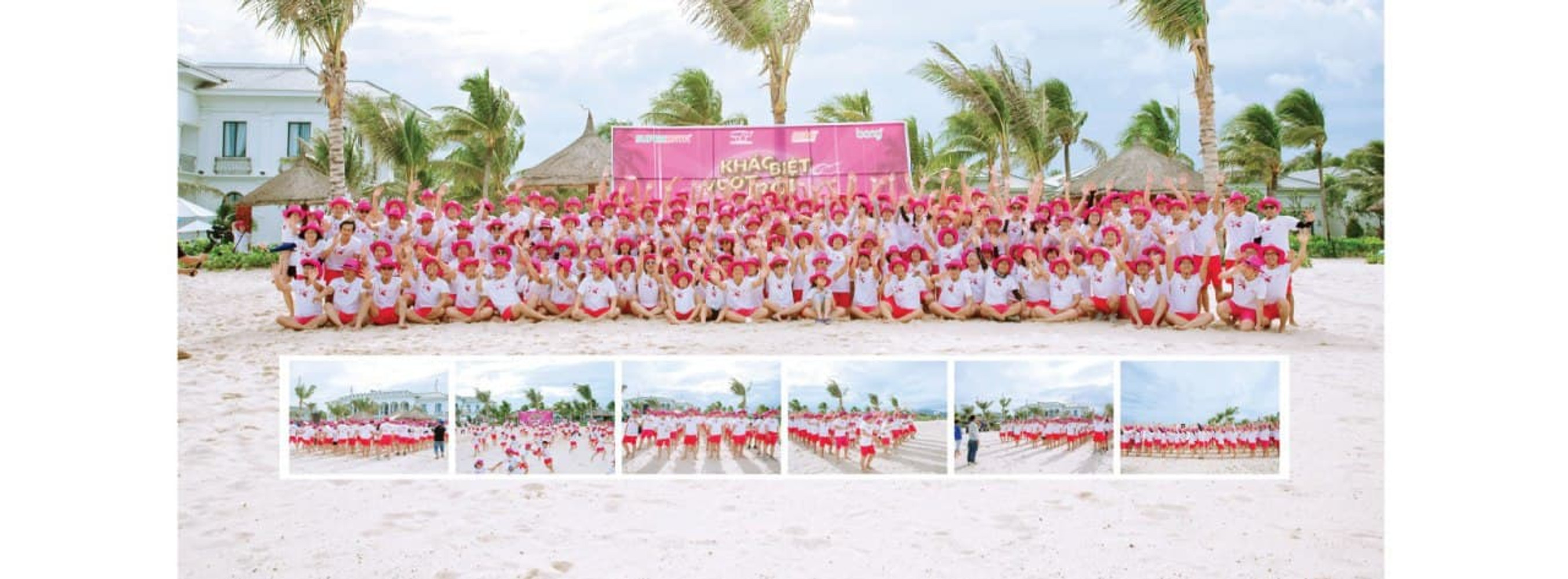 cong-ty-tnhh-p-a-viet-nam