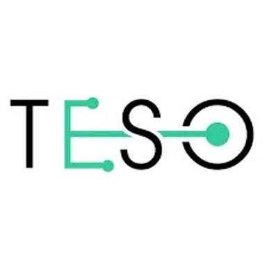 CÔNG TY TNHH TESO GLOBAL
