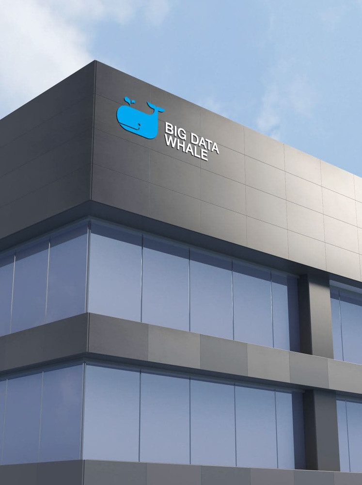 big-whale-data-2