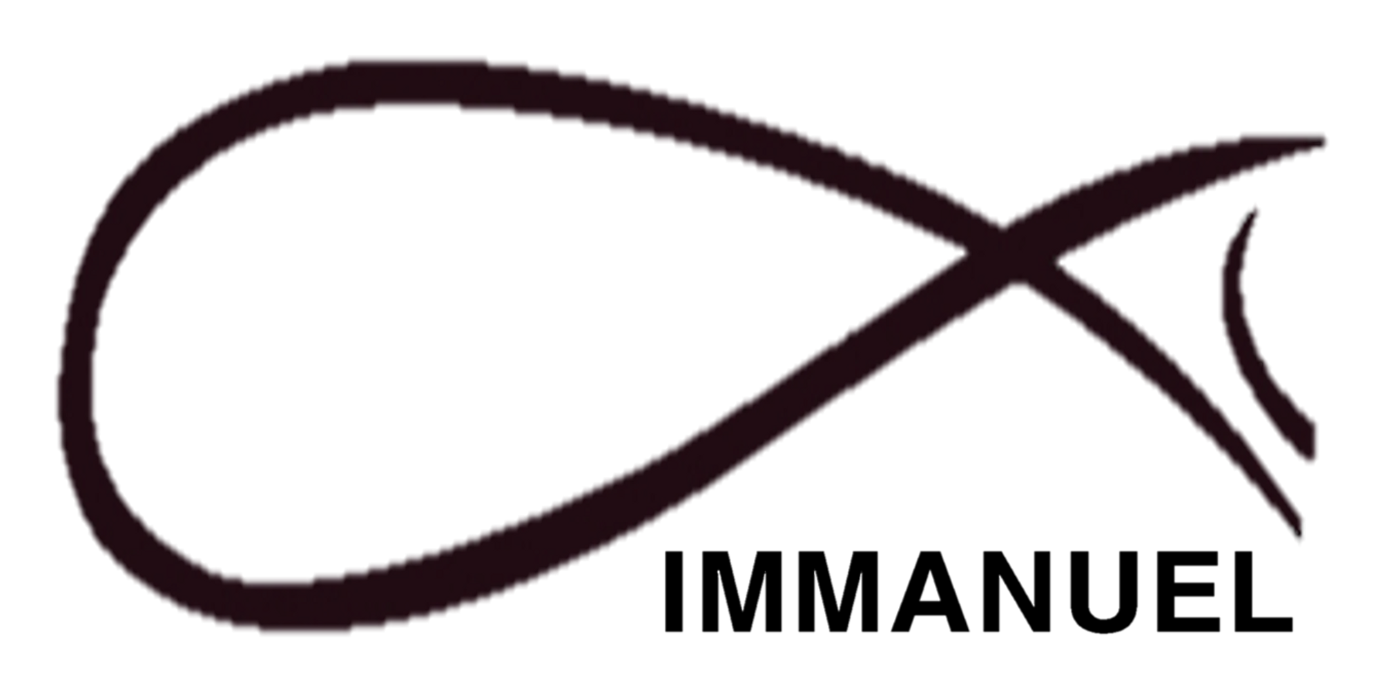 chi-nhanh-cong-ty-tnhh-kiem-toan-immanuel