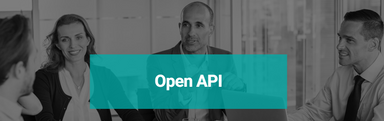 Open API
