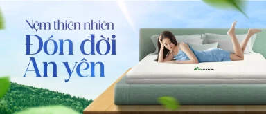 Chăn, ga, gối, nệm, phụ kiện